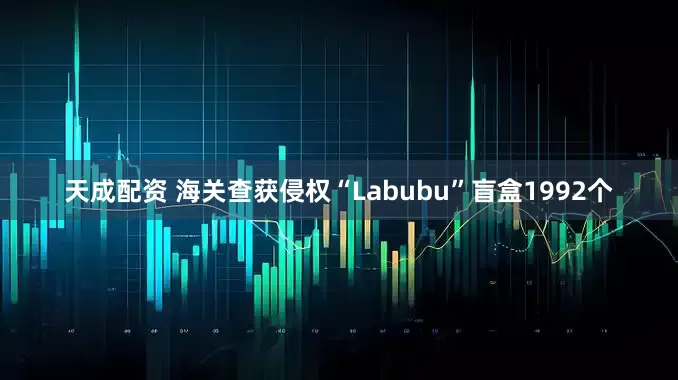 天成配资 海关查获侵权“Labubu”盲盒1992个