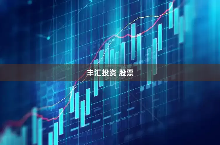 丰汇投资 股票